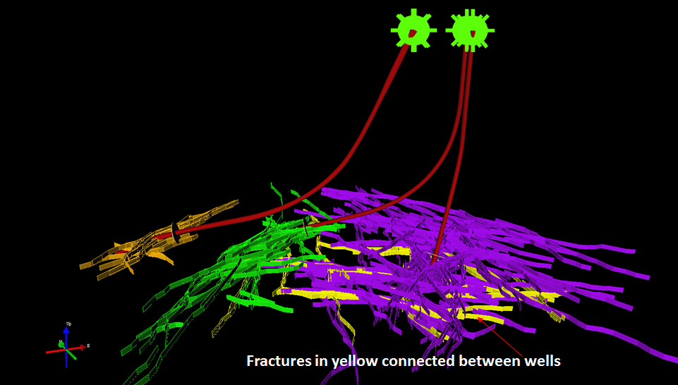 Local Discrete Fracture Network (DFN) penetrated by wells. 